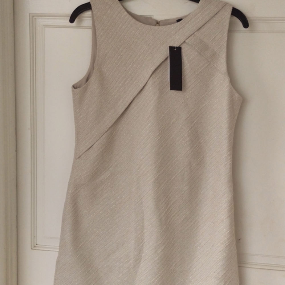 Banana Republic Shine Sheath Dress